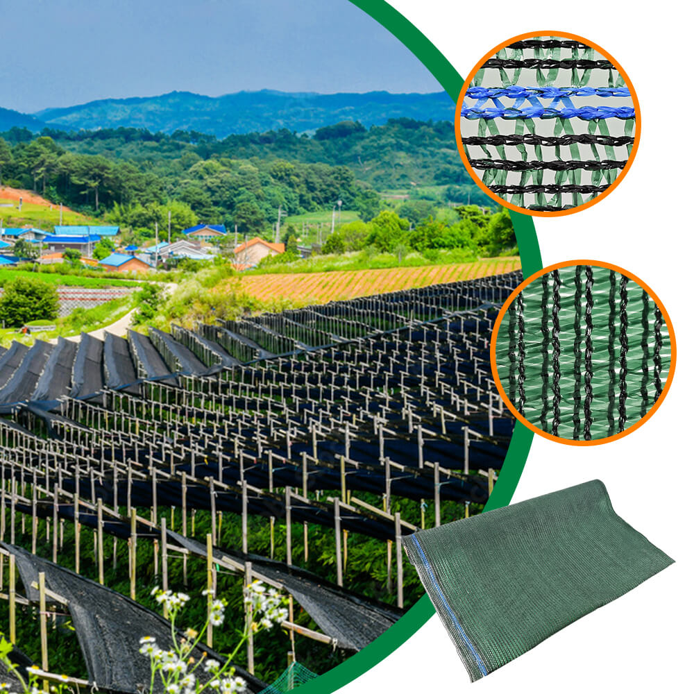 Rete all'ingrosso del parasole verde della serra o del giardino da vendere la fabbrica