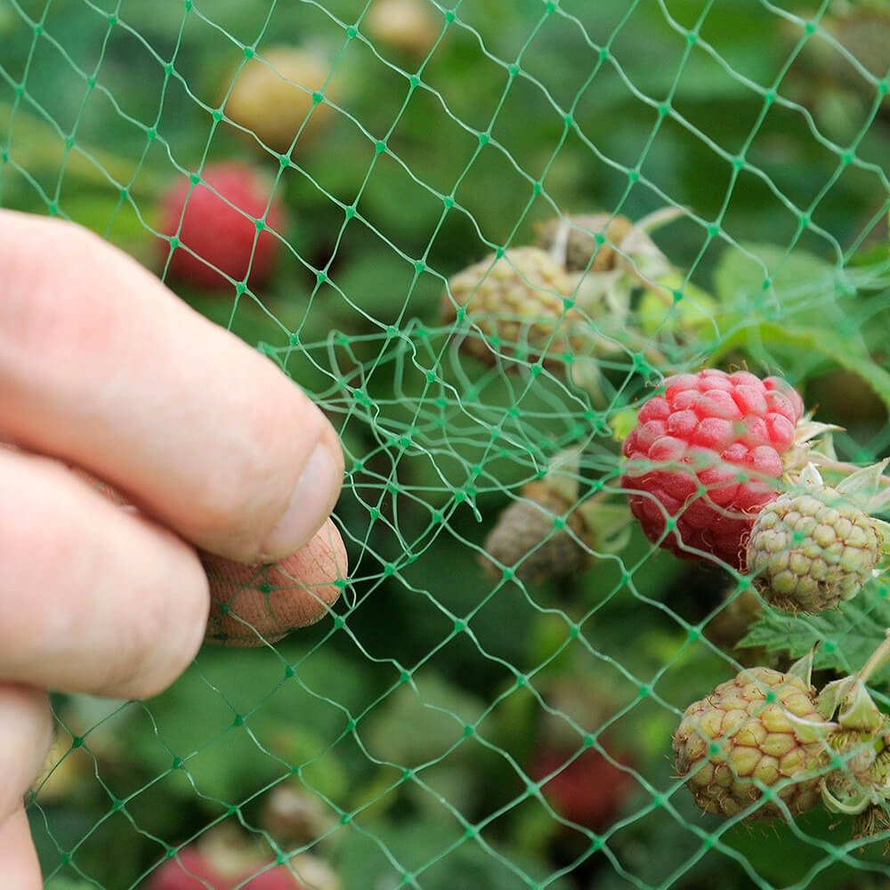 Rete antiuccelli per frutteto e fattoria