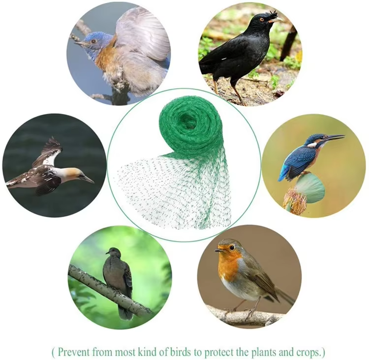 Net Anti Bird