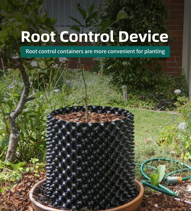 Contenitore di controllo della root