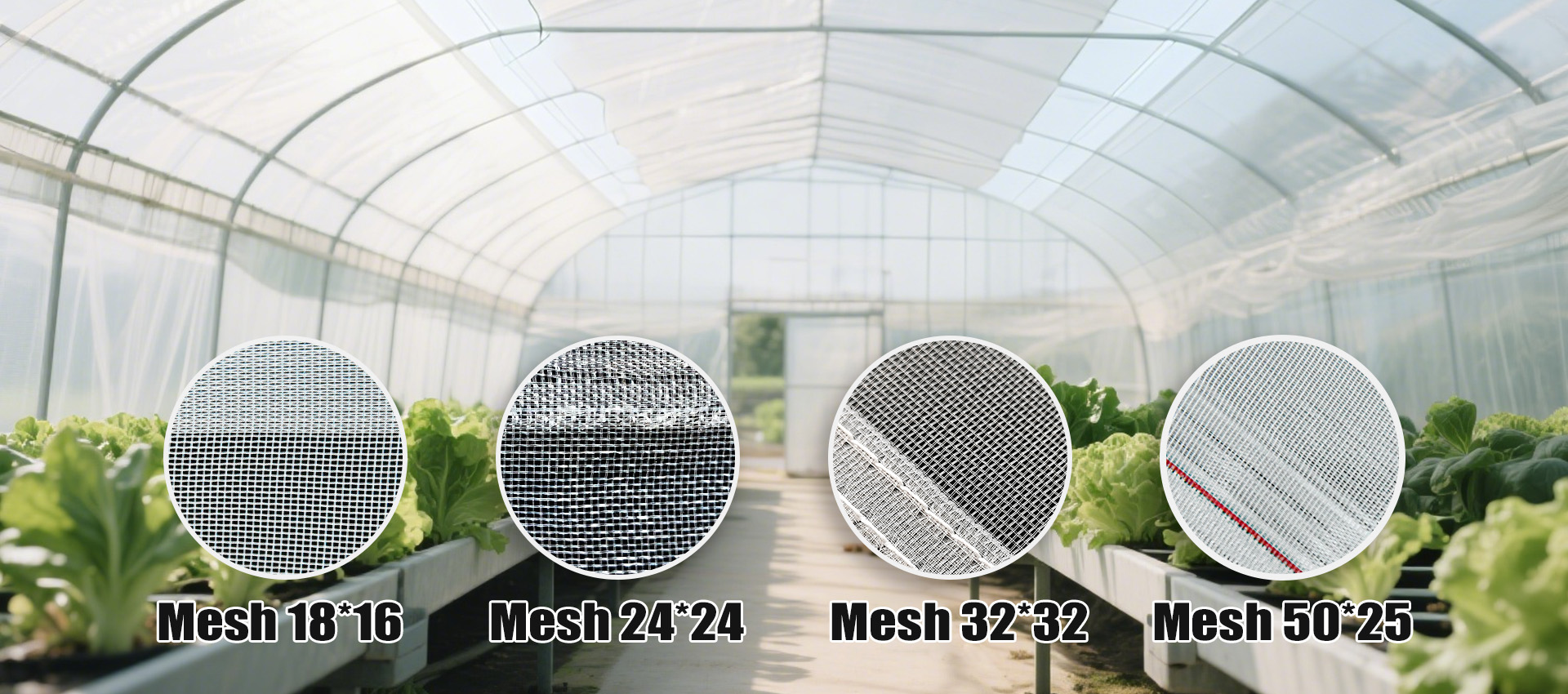 anti insect net