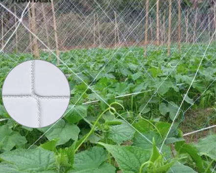 rete di sostegno delle piante