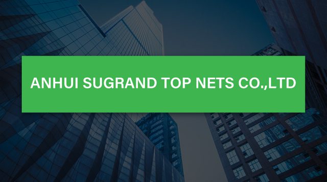 Anhui SUGRAND top nets co