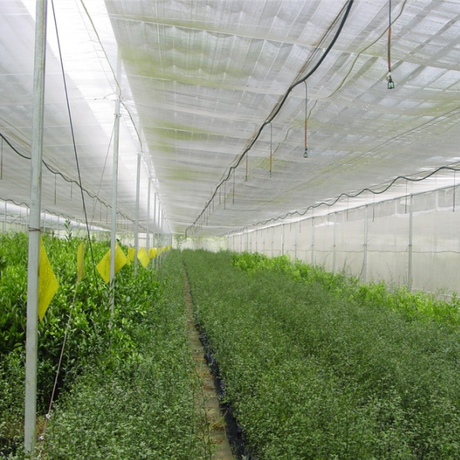 anti insect netting suppliers.png