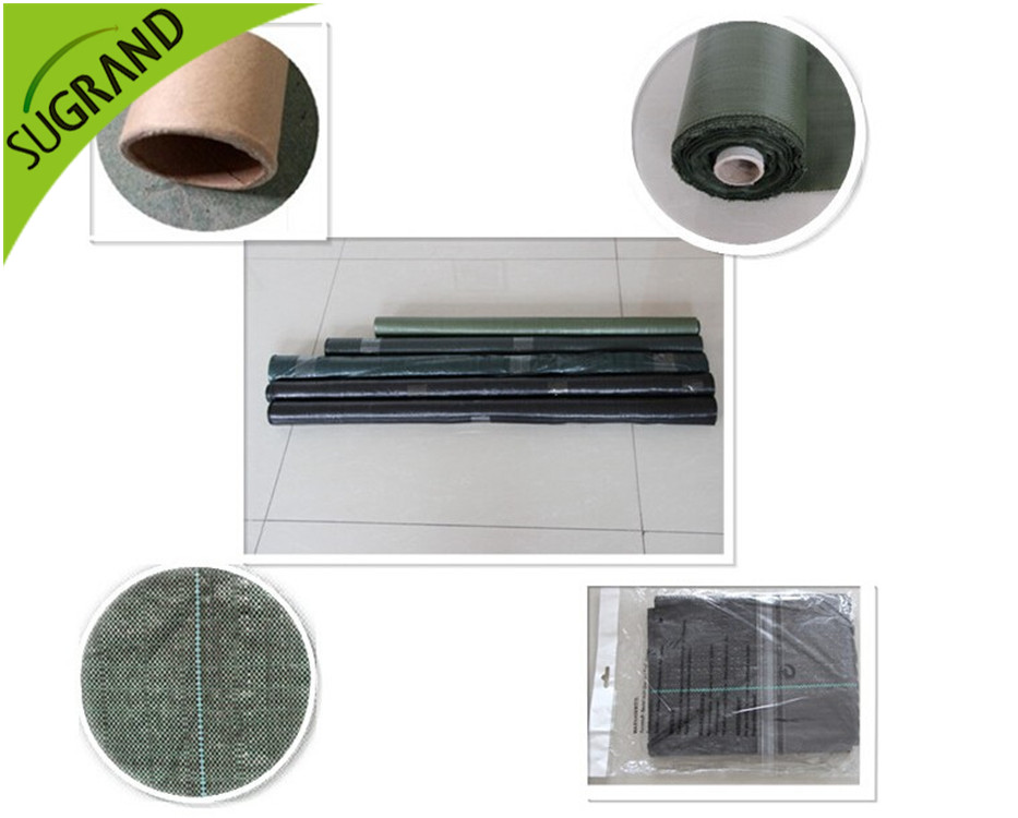 copertura del suolo nera