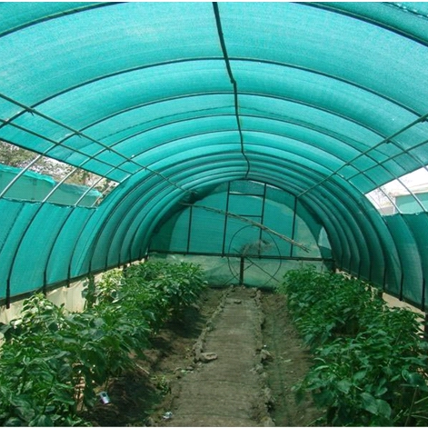 Rete ombreggiante nera resistente ai raggi UV 50% 60% 70% per l'agricoltura