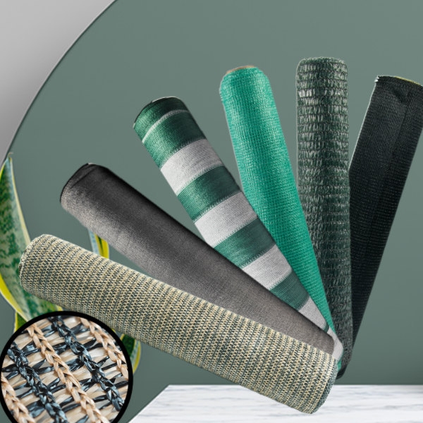 Portati a conoscere l'ombra netta