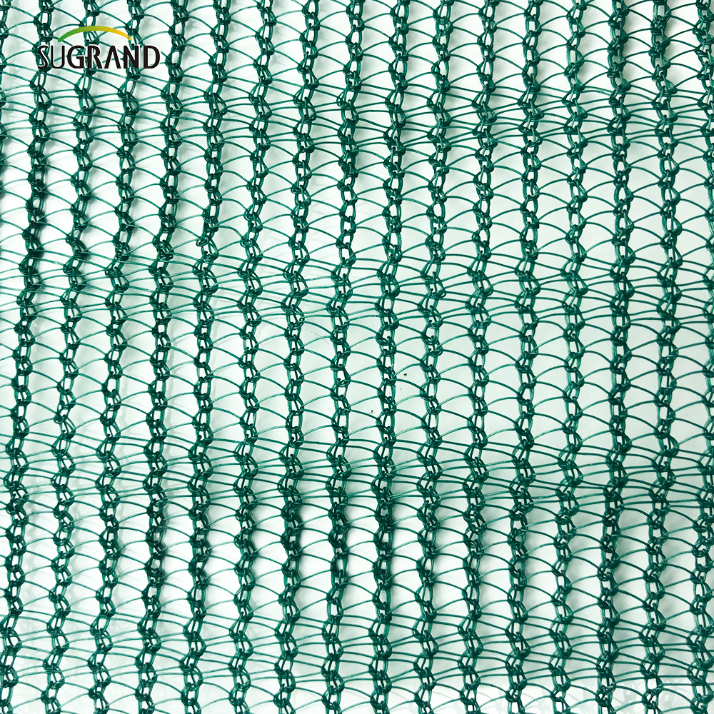Net oliva